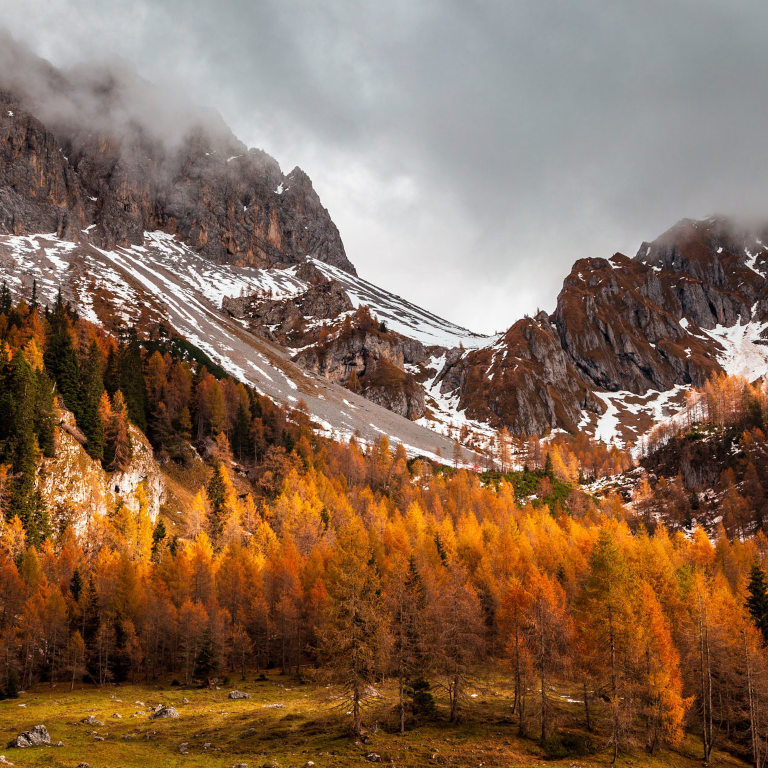 Birra Friuli - Montagne